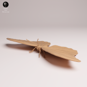 blue-morpho-butterfly-open-wings-2.png