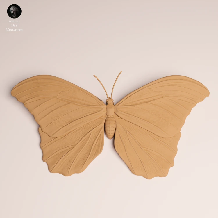blue-morpho-butterfly-open-wings-3.png
