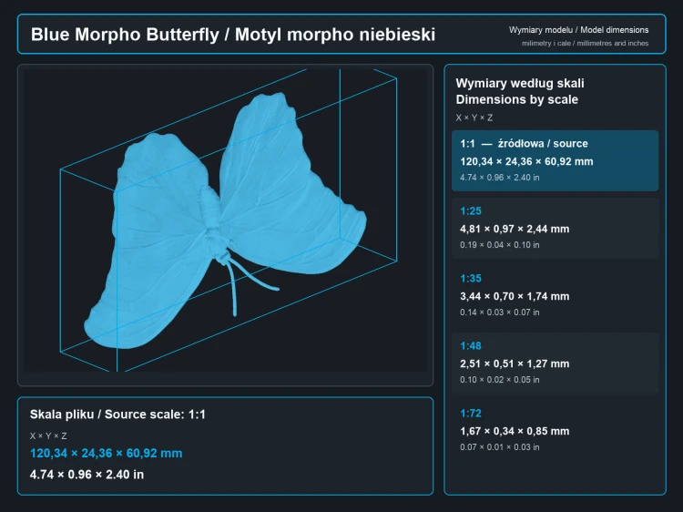 blue-morpho-butterfly-open-wings-5.png