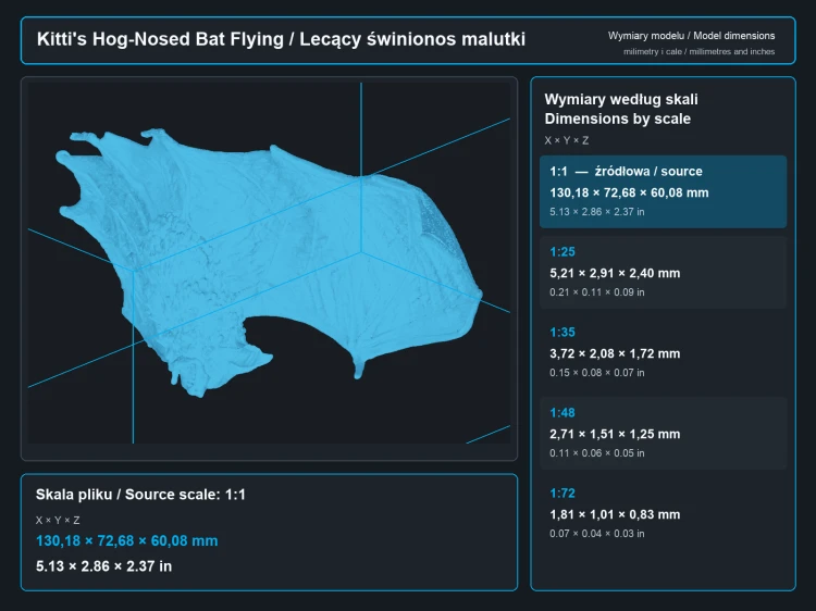 Kitti's Hog-Nosed Bat Flying - 5.png