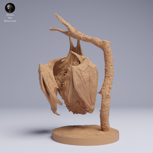 Kitti's Hog-Nosed Bat Hanging - 1.png