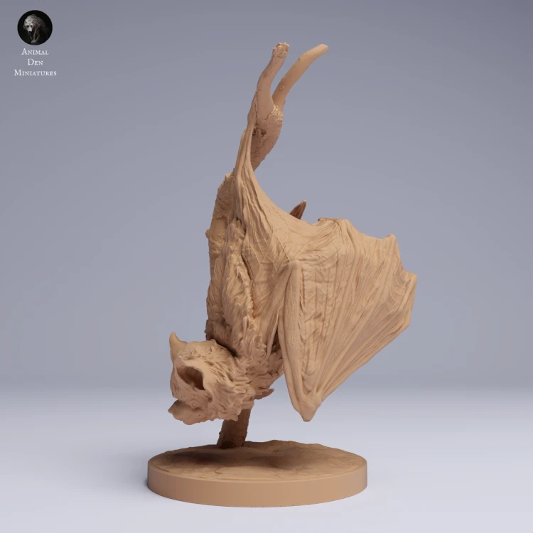 Kitti's Hog-Nosed Bat Hanging - 2.png