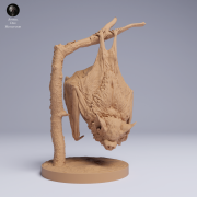 Kitti's Hog-Nosed Bat Hanging - 3.png