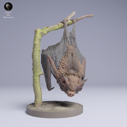 Kitti's Hog-Nosed Bat Hanging - 4.png
