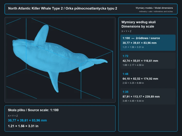 North Atlantic Killer Whale Type 2 - 4.png