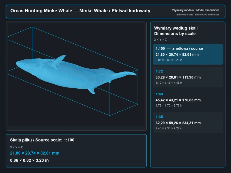 Orcas Hunting Minke Whale - 4.png