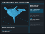 Orcas Hunting Minke Whale - 6.png