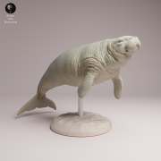 Steller's Sea Cow - 1.png