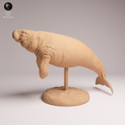 Steller's Sea Cow - 2.png