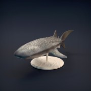 Whale Shark - 1.jpg