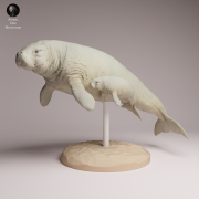 Steller's Sea Cow and Calf - 1.png