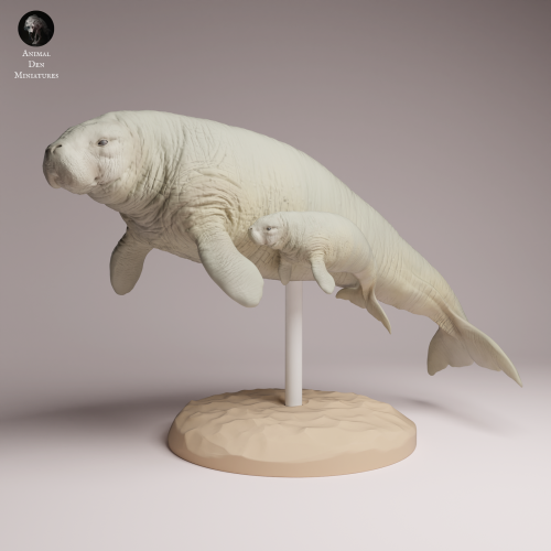 Steller's Sea Cow and Calf - 1.png