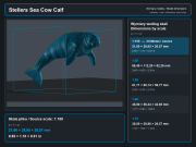 Steller's Sea Cow and Calf - 5.png