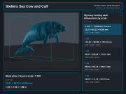 Steller's Sea Cow and Calf - 6.png
