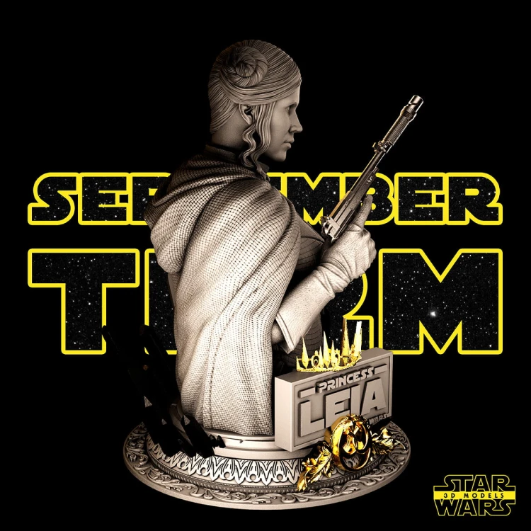 092221 Star Wars - Leia Promo 07.jpg