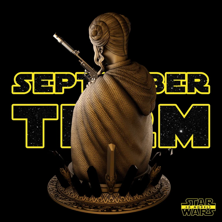 092221 Star Wars - Leia Promo 09.jpg