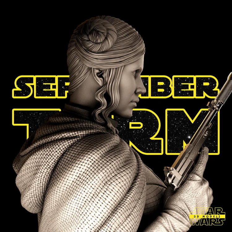 092221 Star Wars - Leia Promo 011.jpg