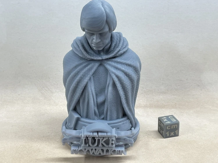 ST3D_Bust_Luke_01.jpg