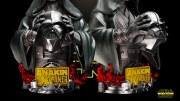 050422 Star Wars - Anakin Bust 03.jpg