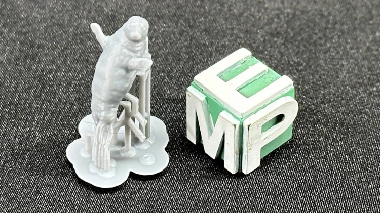 48130209_FokaMała_1-48.jpg