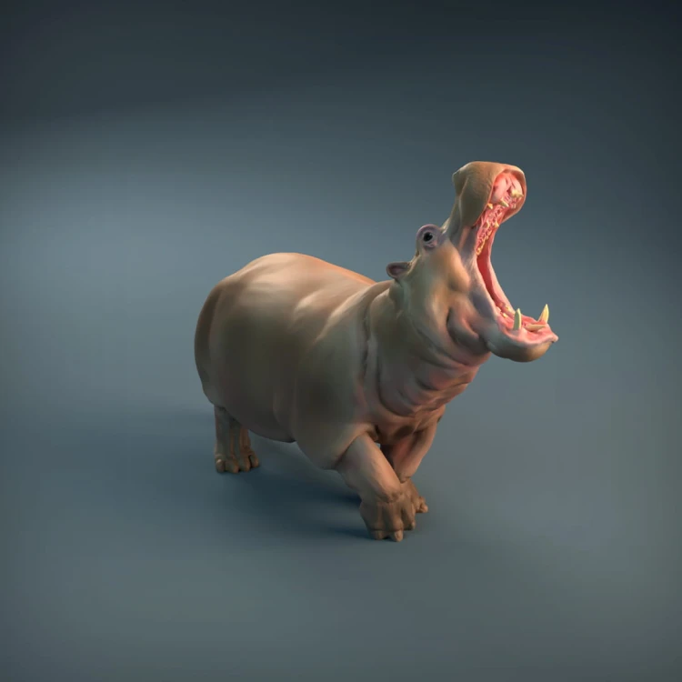 35130212_resize-hippopotamus-4.jpg