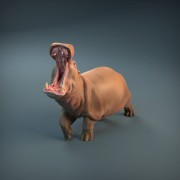 35130212_resize-hippopotamus-2.jpg