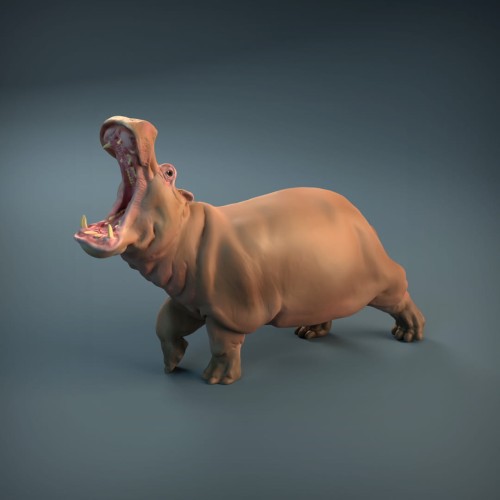 35130212_resize-hippopotamus-1.jpg