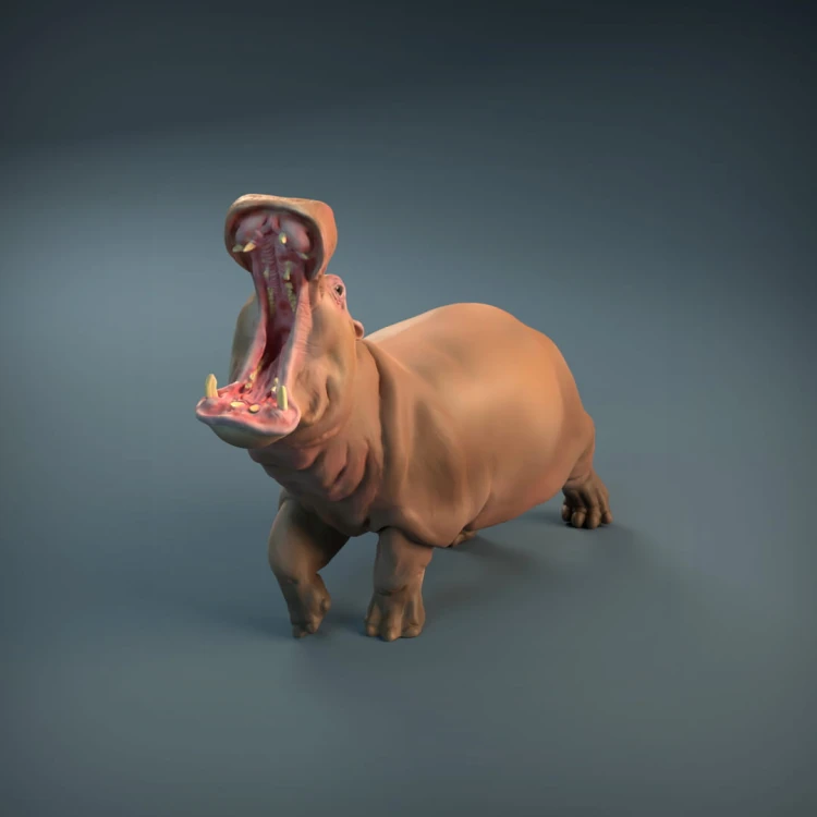 35130212_resize-hippopotamus-2.jpg
