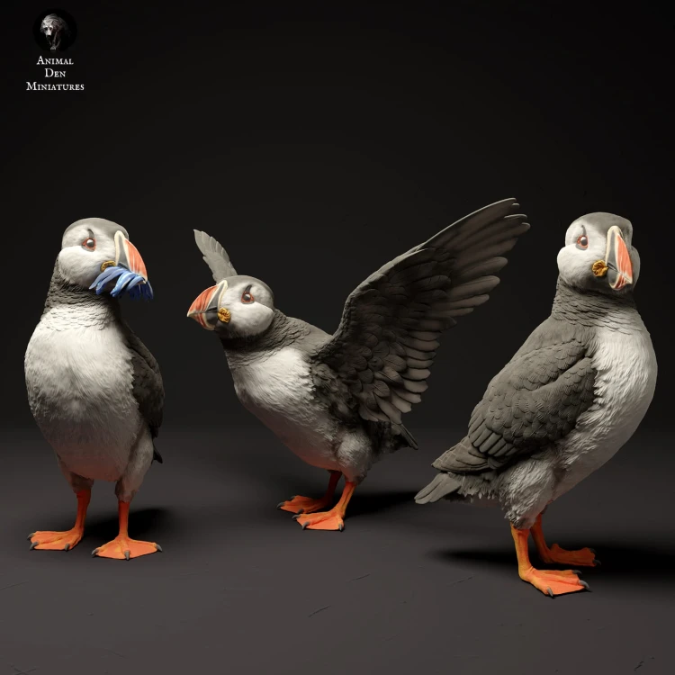 35130522_atlantic_puffins_3.jpg