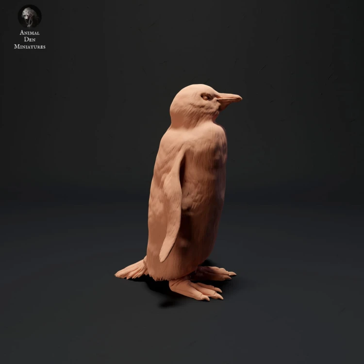 35130524_resize-gentoo-penguin-2.jpg