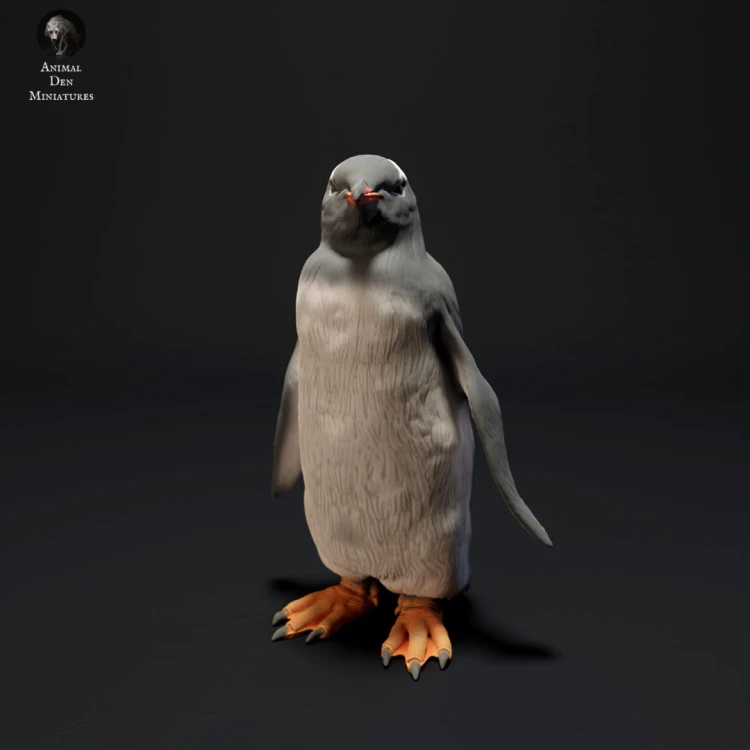35130524_resize-gentoo-penguin-3.jpg