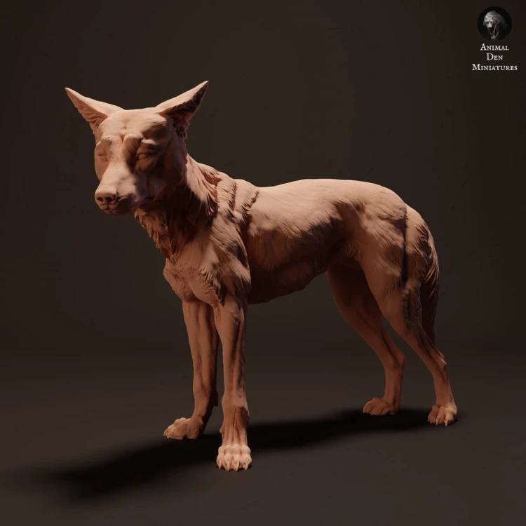 35130214_resize-dingo-stand-1-1.jpg