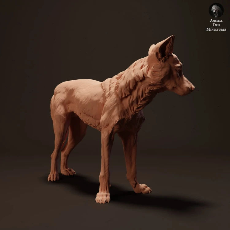 35130214_resize-dingo-stand-2-1.jpg
