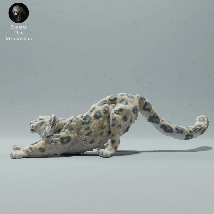 35130216_resize-snow-leo-stretch-1.jpg