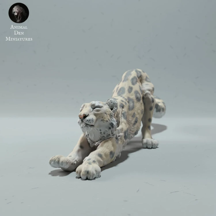 35130216_resize-snow-leo-stretch-2.jpg