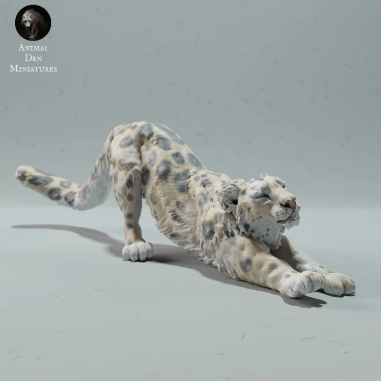 35130216_resize-snow-leo-stretch-3.jpg