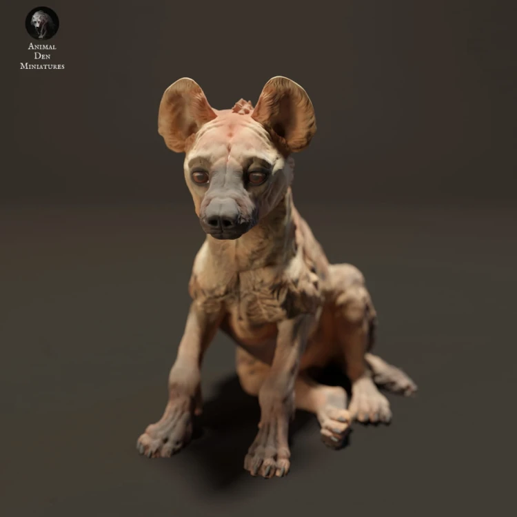 35130217_resize-spotted-hyena-cub-3.jpg