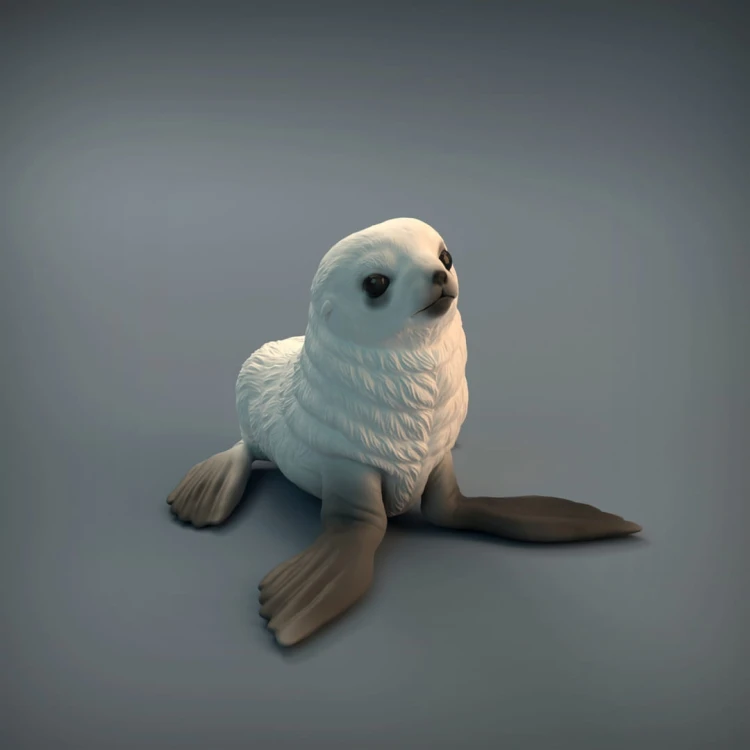 35130218_resize-baby-seal-1.jpg