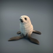 35130218_resize-baby-seal-7.jpg