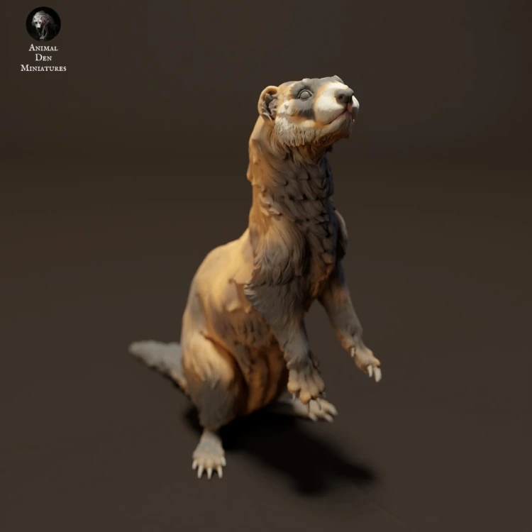 35130411_resize-european-polecat-standing-3.jpg