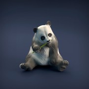 35130220_resize-panda-1.jpg