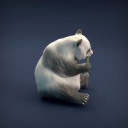35130220_resize-panda-6.jpg