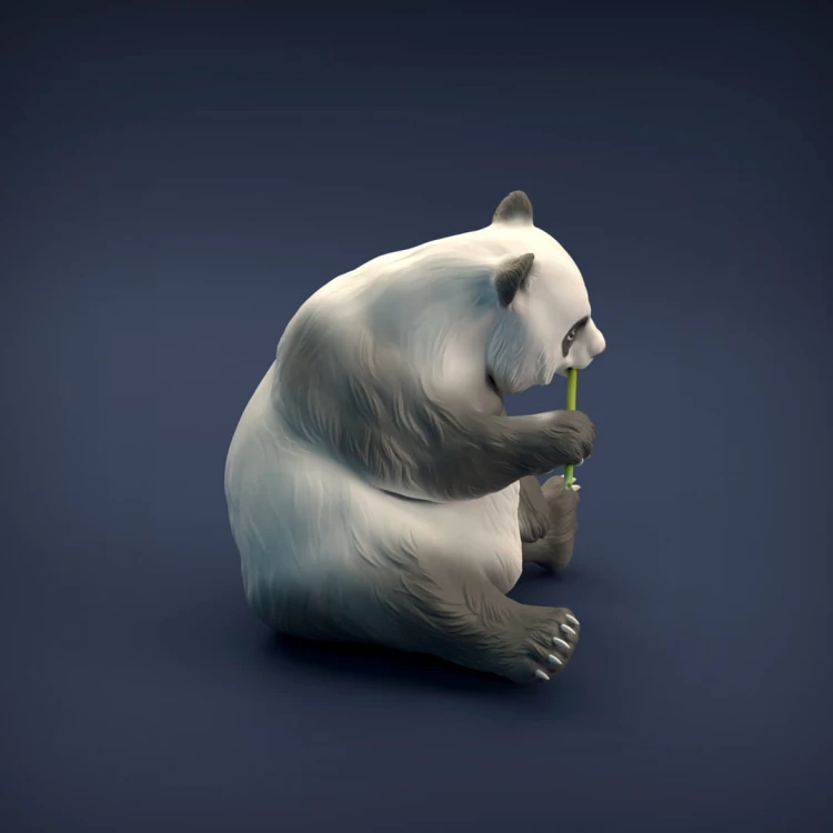 35130220_resize-panda-6.jpg