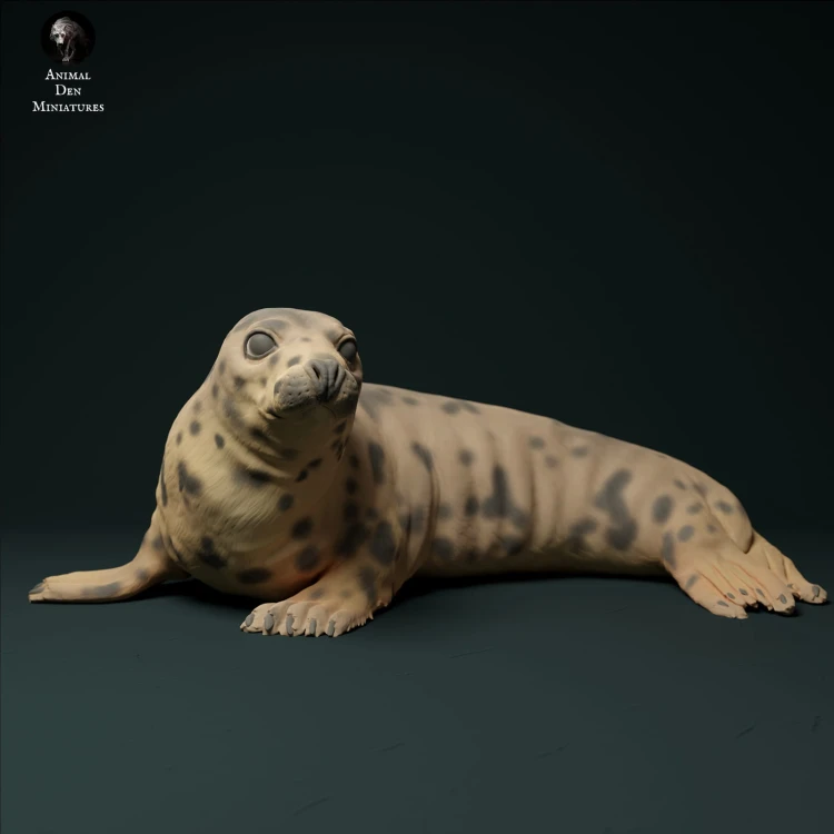 35130222_seal_female_3.jpg