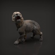 35130415_resize-wolf-pup2.jpg