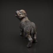 35130415_resize-wolf-pup3.jpg