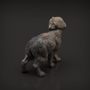 35130415_resize-wolf-pup4.jpg
