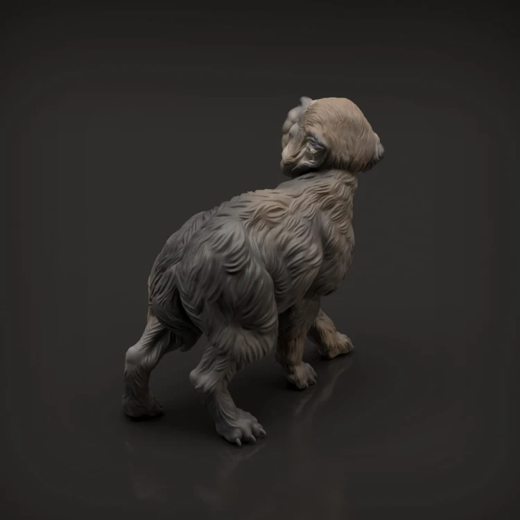 35130415_resize-wolf-pup4.jpg