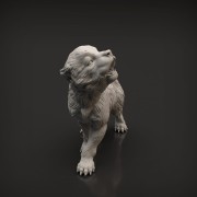 35130415_resize-wolf-pup7.jpg