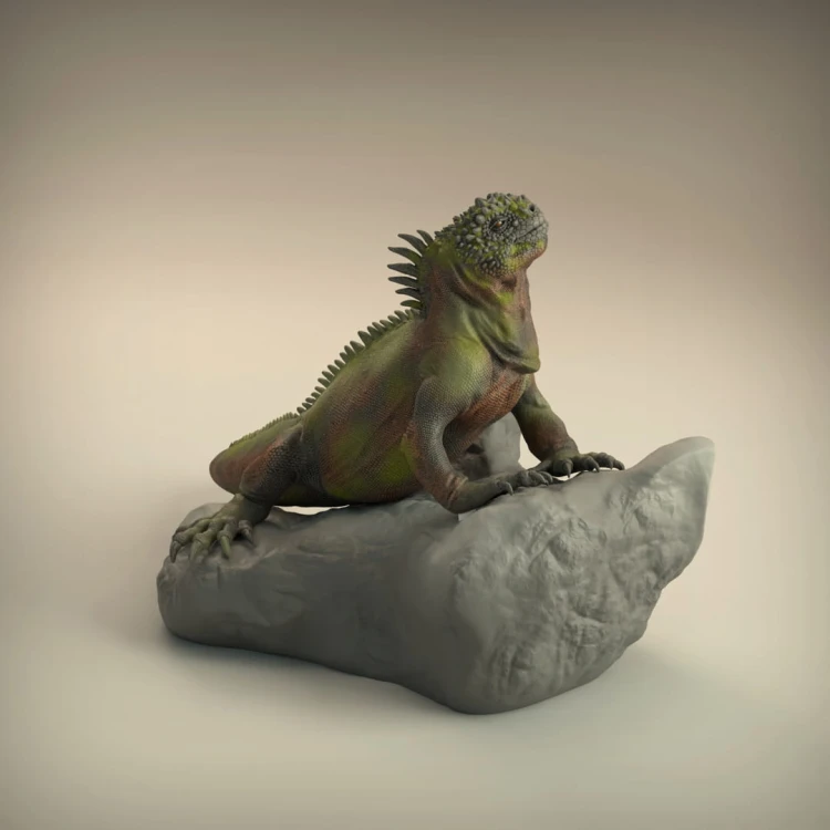 35130224_resize-iguana3.jpg